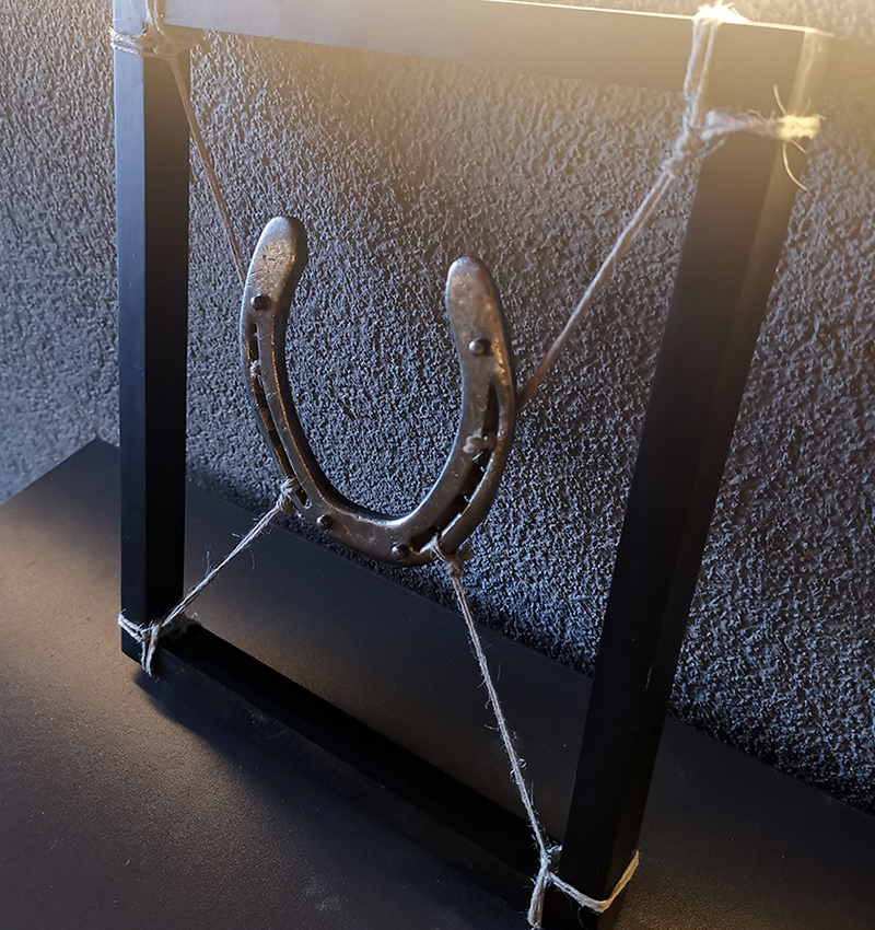 Projekte horseshoe2800850